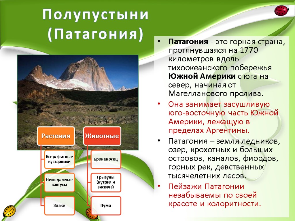 Полупустыни (Патагония) Патагония - это горная страна, протянувшаяся на 1770 километров вдоль тихоокеанского побережья